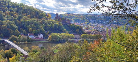 Fewo Traumblick, Kreuzwertheim, Germany