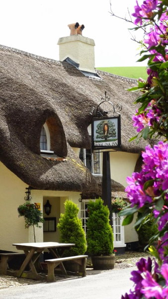 The Royal Oak Exmoor, Winsford, United Kingdom