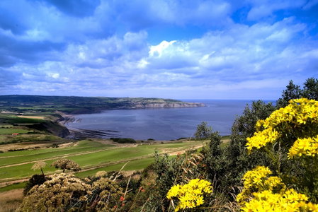 Grand Villa Heights, Scarborough, United Kingdom