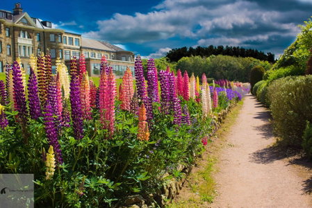 Grand Villa Heights, Scarborough, United Kingdom