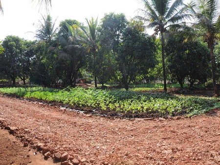 Red Roof Farmhouse, Chiplun, India