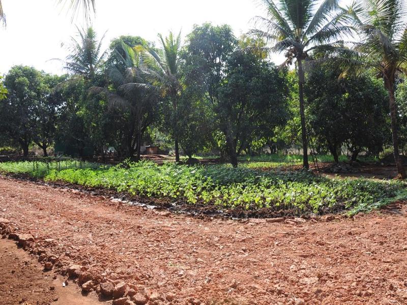 Red Roof Farmhouse, Chiplun, India