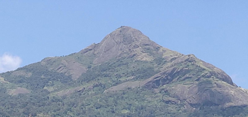 M3 Homes, Munnar, India
