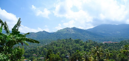 M3 Homes, Munnar, India