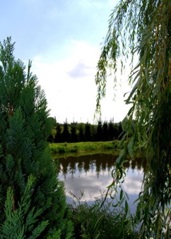 Hotel Marco Płońsk Szkolna 115, Płońsk, Poland