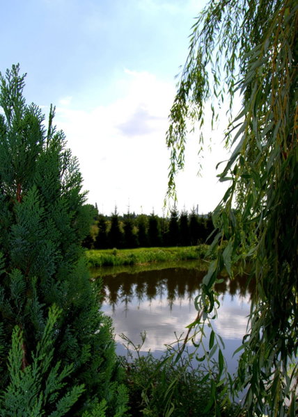 Hotel Marco Płońsk Szkolna 115, Płońsk, Poland