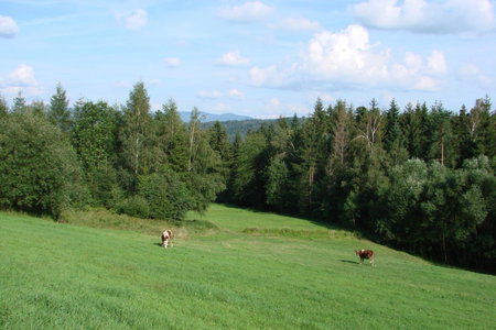 Villa Róża, Kamesznica, Poland