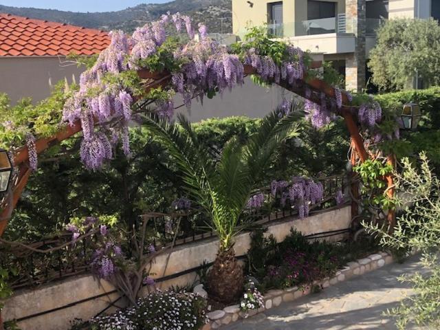Aegean Villas, Potos, Greece