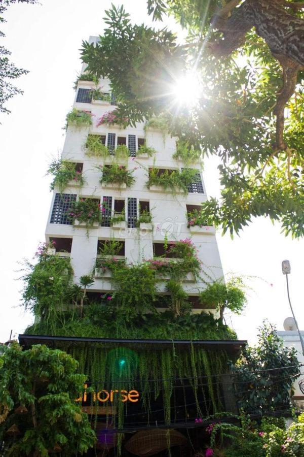 Seahorse Tropical Apartment Da Nang, Vietnam