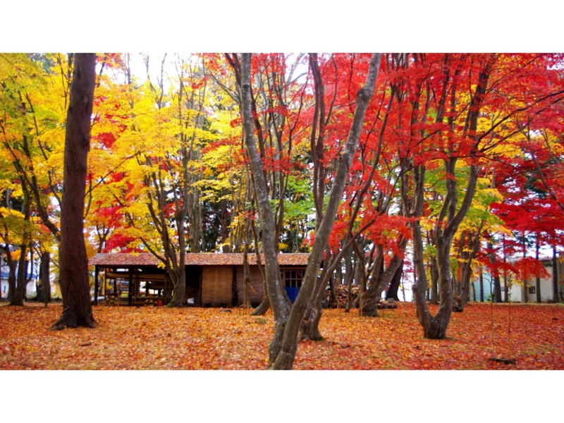 Yunohama Hotel - Vacation STAY 94799v, Hakodate, Japan