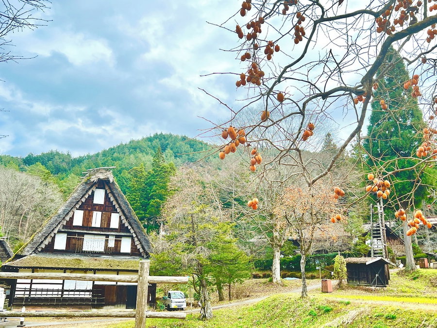 Hostel Miyagawa by Murasaki, Takayama, Japan