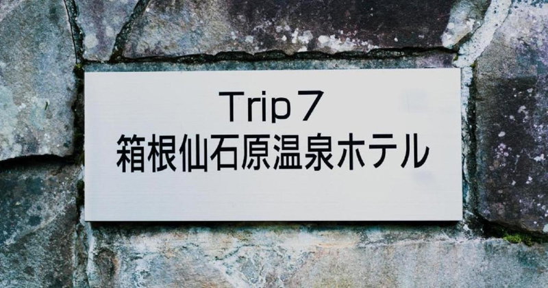 Trip7箱根仙石原温泉ホテル, Sengokuhara, Japan