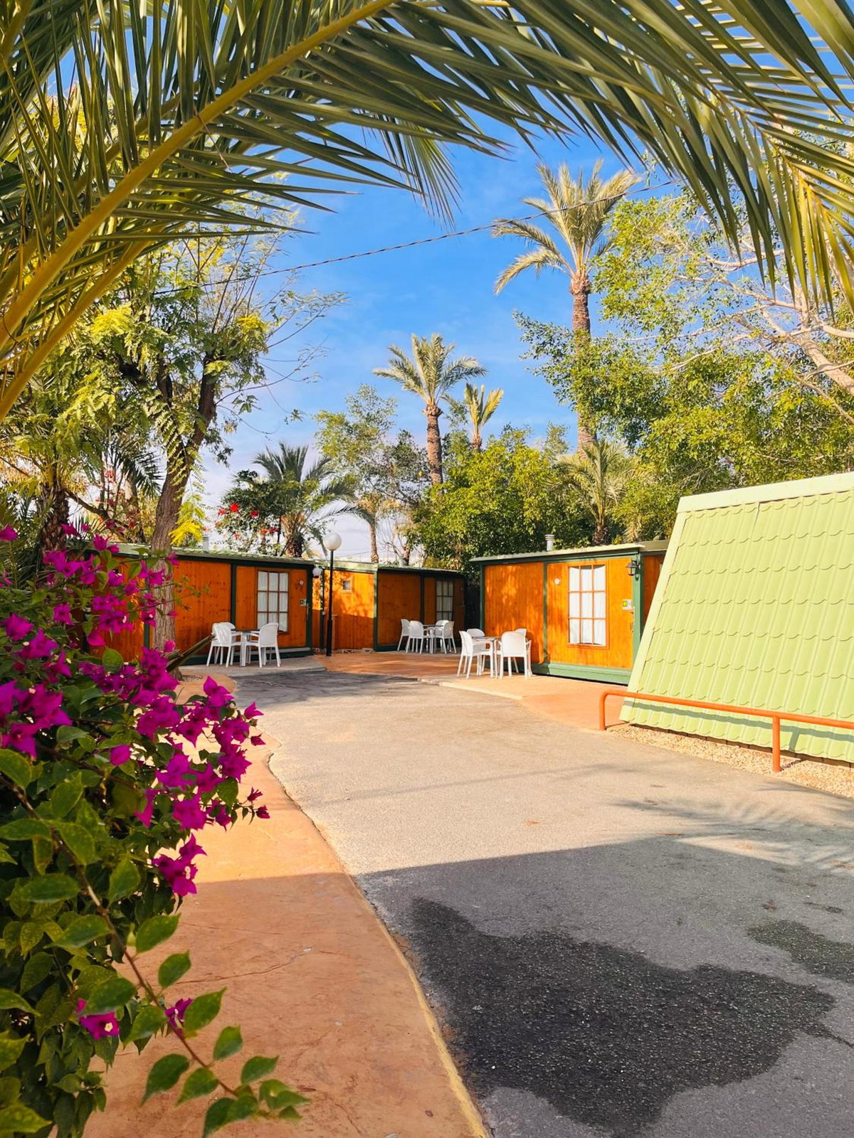 Camping Las Palmeras, Spain