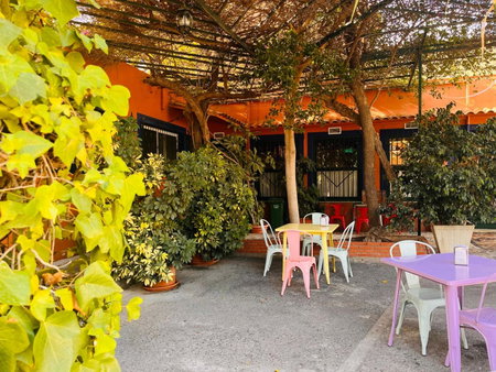 Camping Las Palmeras, Crevillente, Spain