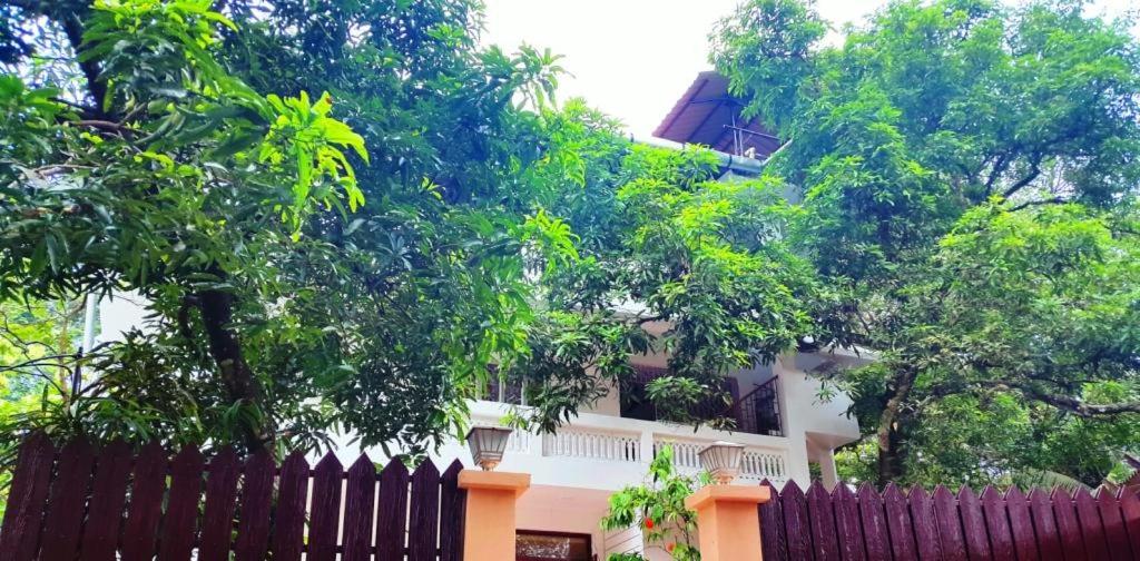 Kevins Bed & Breakfast, India