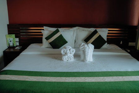 Wayanad Silverwoods Forest Resort & Spa, Vythiri, India