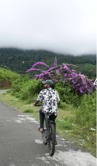 Willmount Geodesic Domes Vagamon, Peermade, India