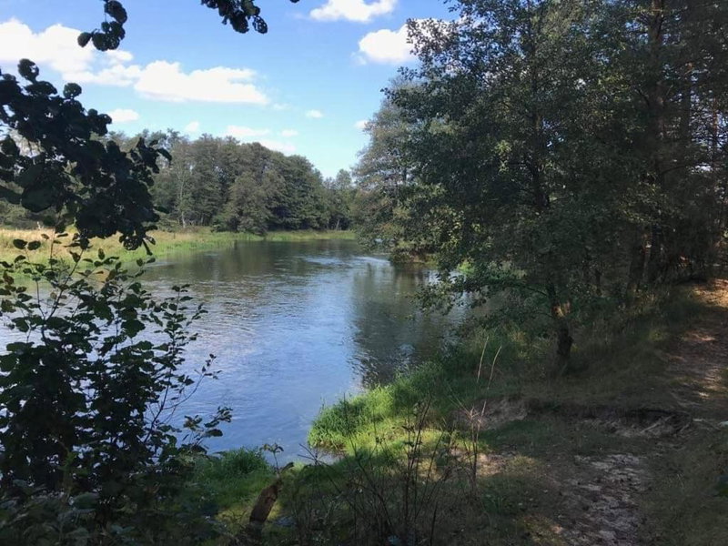 Zacisze Leśne nad Pilicą, Spała, Poland