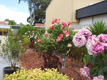 Pooraka Motor Inn, Mawson Lakes, Australia