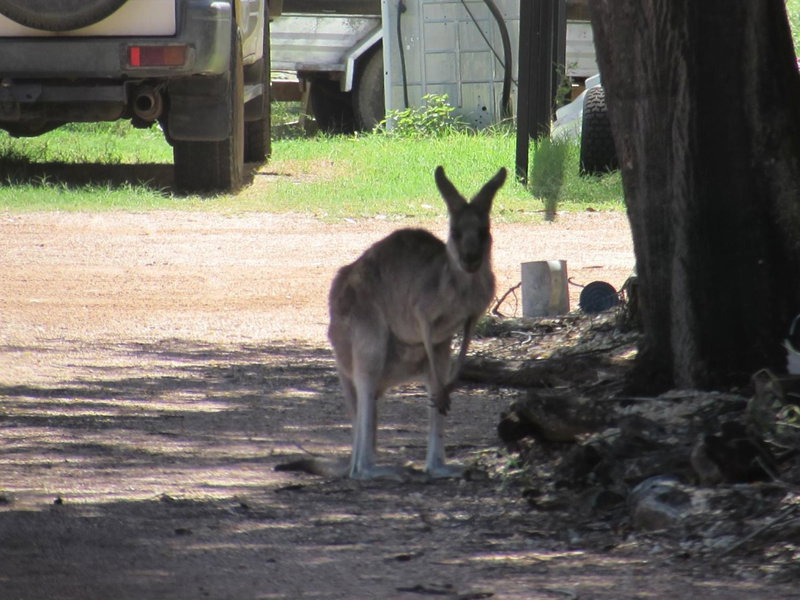 Ironbark Inn, Barcaldine, Australia