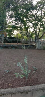 Thully Teams, Nelspruit, South Africa
