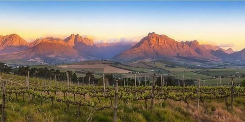 Sunrise and Sunset Apartments at Domaine Coutelier, Stellenbosch, South Africa