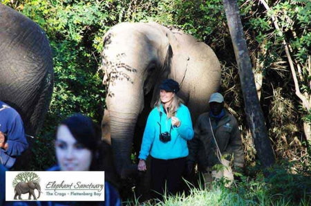 Elephant Country Guest House, The Crags, South Africa