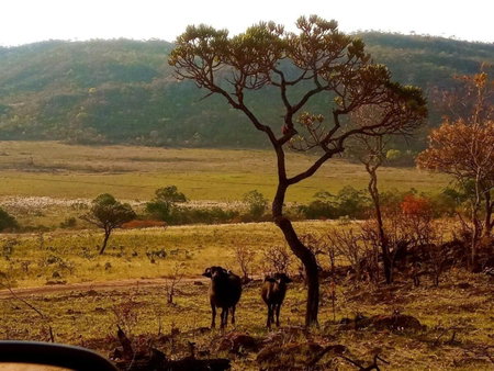 Villa Ágape - Chapada dos Veadeiros, Alto Paraíso de Goiás, Brazil