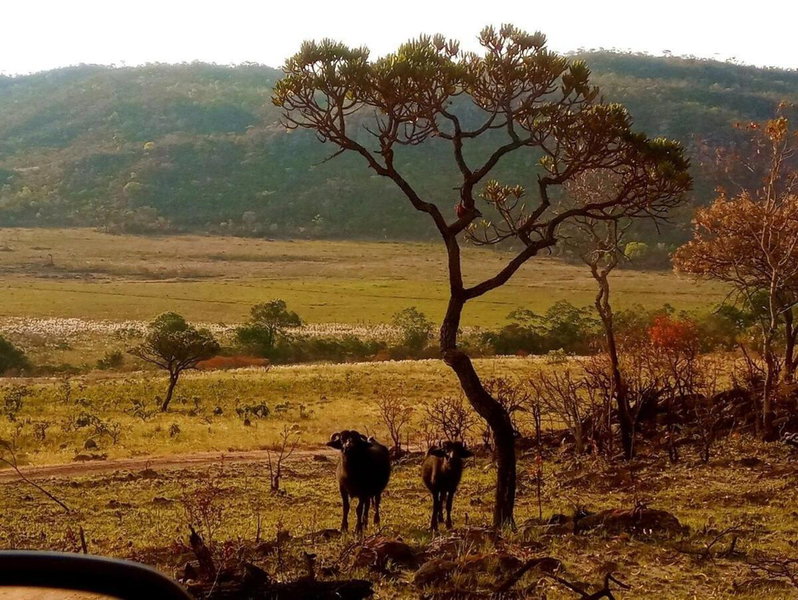 Villa Ágape - Chapada dos Veadeiros, Alto Paraíso de Goiás, Brazil