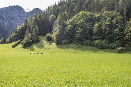 Ferienwohnung Spielberg, Sankt Martin bei Lofer, Austria