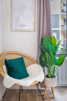Les Cocons Emeraude et Fleuri, Lyon, France