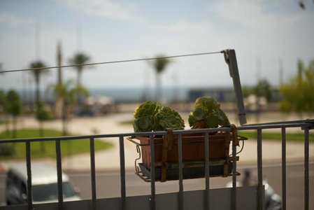 B&B Favola Mediterranea, Catania, Italy