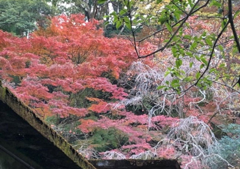 Izuya Ryokan - Vacation STAY 22369v, Yugawara, Japan