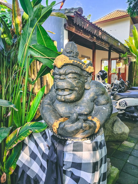 Ari Cottages, Ubud, Indonesia
