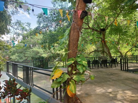 Bamboo River House Kaeng Krachan, Kaeng Krachan, Thailand