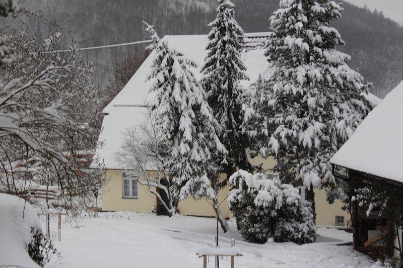 Ferienwohnung in herrlicher Lage, Bad Urach, Germany