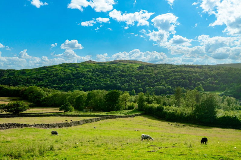 Bridge End Farm Cottages, Eskdale, United Kingdom