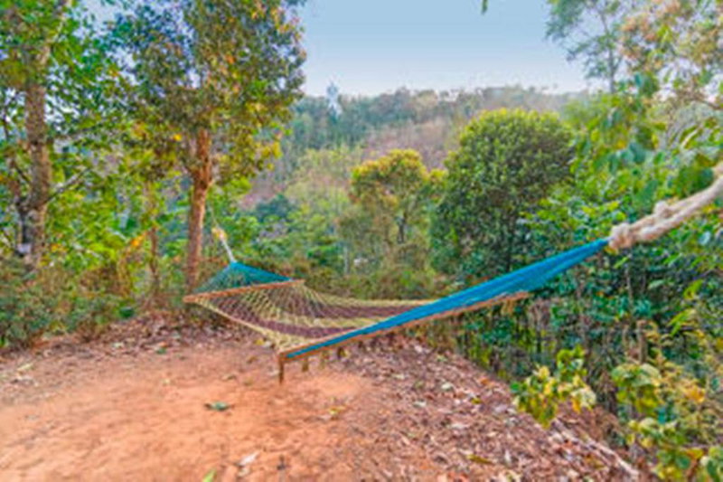 Sunleo Spice Villas & Homestay, Munnar, India