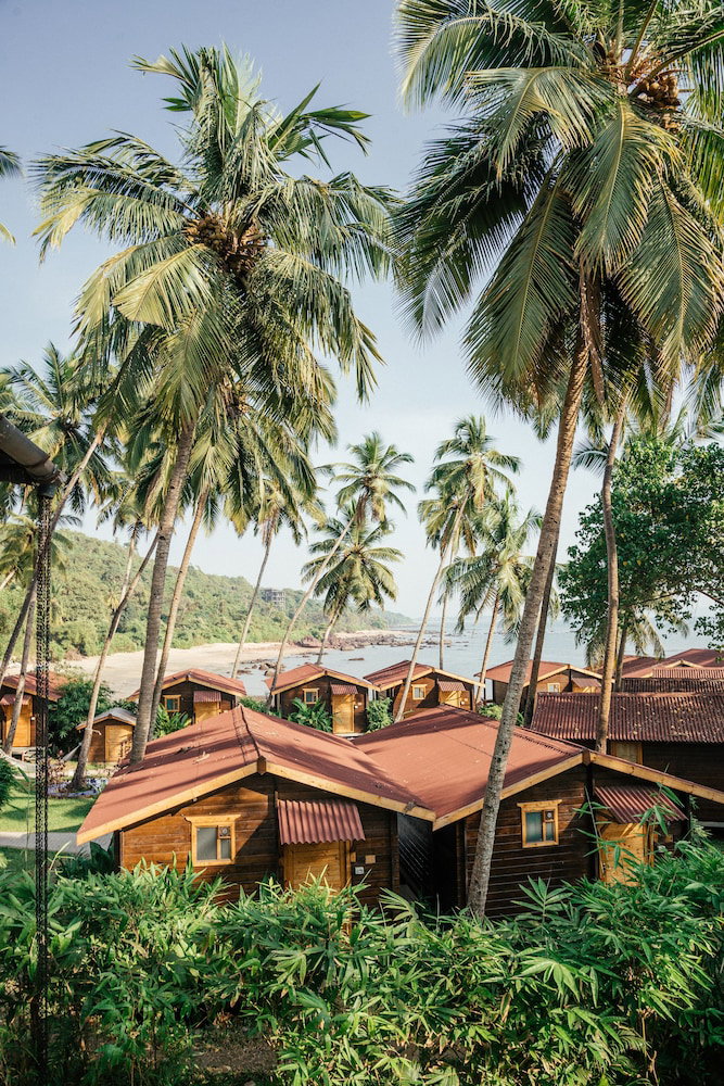 Bay15, Indien