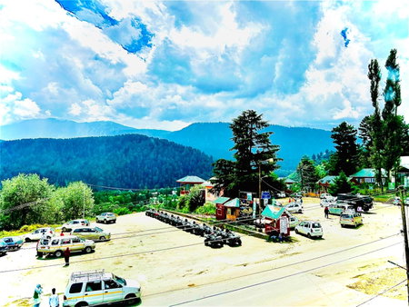 Pine view, Gulmarg, India