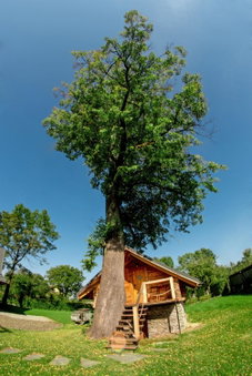 Gniazdko Pod Lipą, Andrychów, Poland