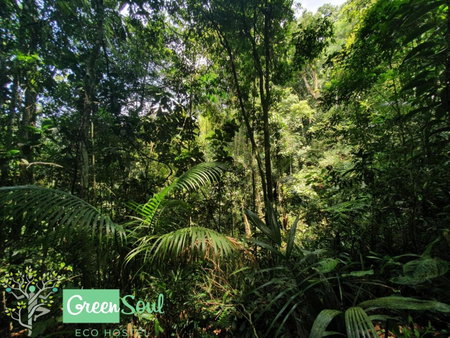 Greensoul Hospedagem, Ubatuba, Brazil