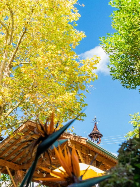 Pousada dos Plátanos, Nova Petrópolis, Brazil