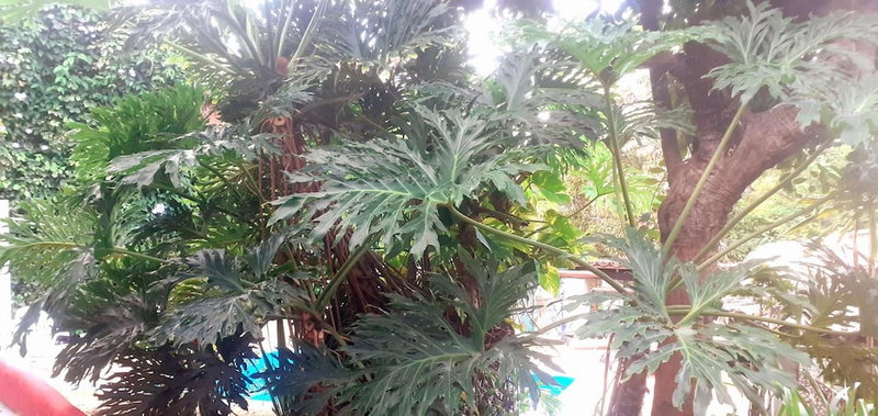 Novos Baianos Hostel e Suites, Porto Seguro, Brazil