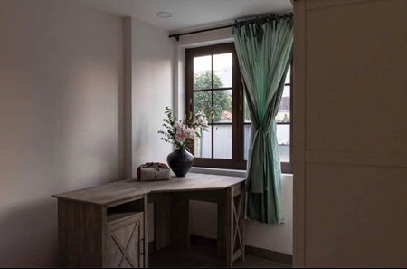 Apartment for rent in Ho Chi Minh City, Vietnam · District 2 - Thao Dien / An Phu · 1 room, 1 bath