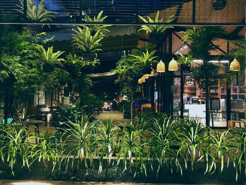 Jrai Homestay, Pleiku, Vietnam