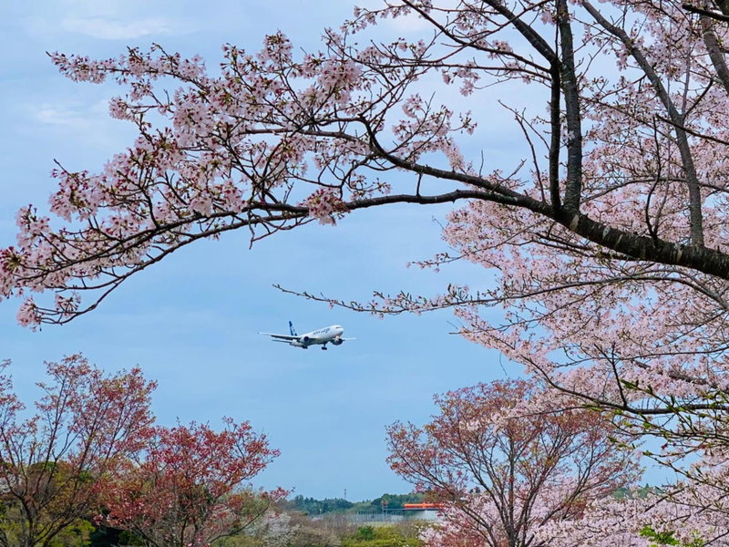 Sunhouse - Vacation STAY 28595v, Yachimata, Japan