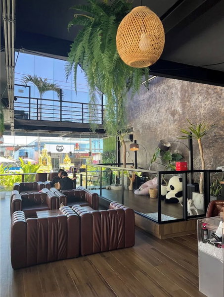 Lulu Hotel at The Glasshouse Lion Café, Ratsada, Thailand