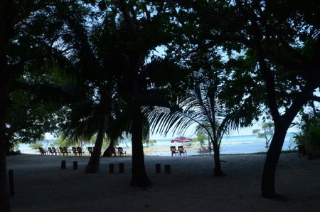 Coconhuts Beach Resort, Neil Island, India