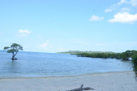 Coconhuts Beach Resort, Neil Island, India